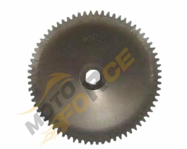 SPONTINI ON VARYATÖR DISLISI ORJINAL