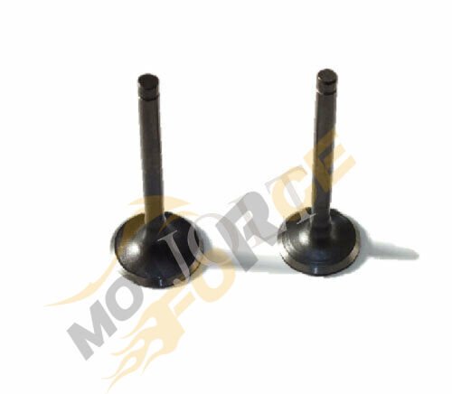 SÜBAP TAKIMI SCT 150CC ORJINAL (DQ TIRNAKLI)