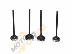 SUBAP TAKIMI PULSAR NS200