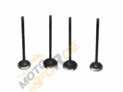 SUBAP TAKIMI PULSAR NS200